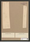 Synedra sp. (de-Toni-Nr.: Genus 66, Species 2596 ?) Zeichnungen Sammlung Grunow Nr. 5408 (NHMW-BOT-W0373839)
